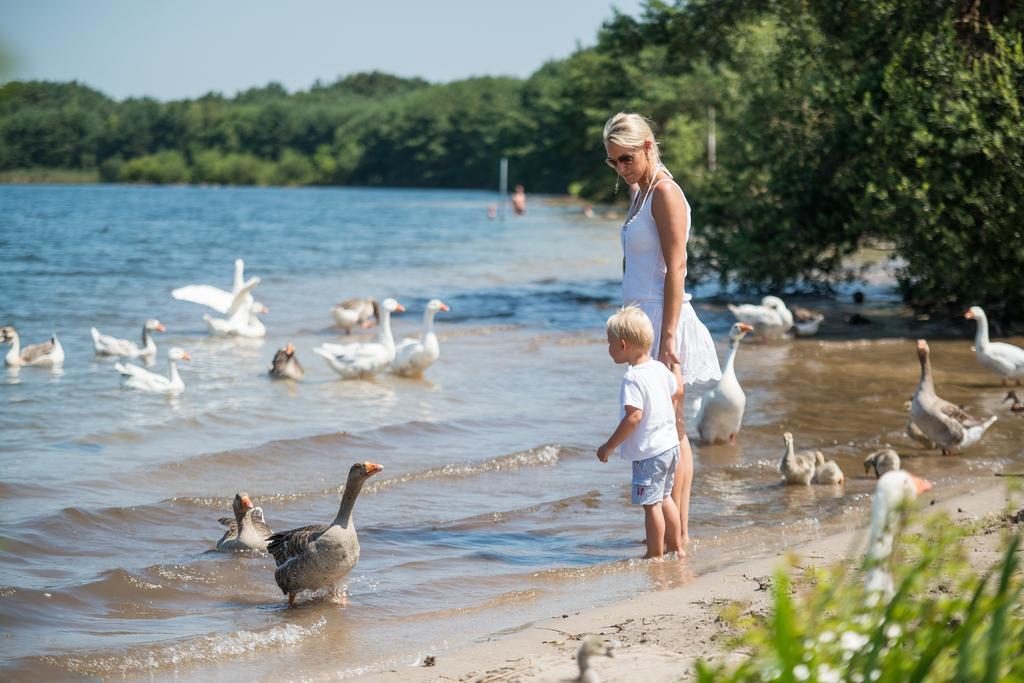 Sunparks Kempense Meren Mol Eksteriør bilde